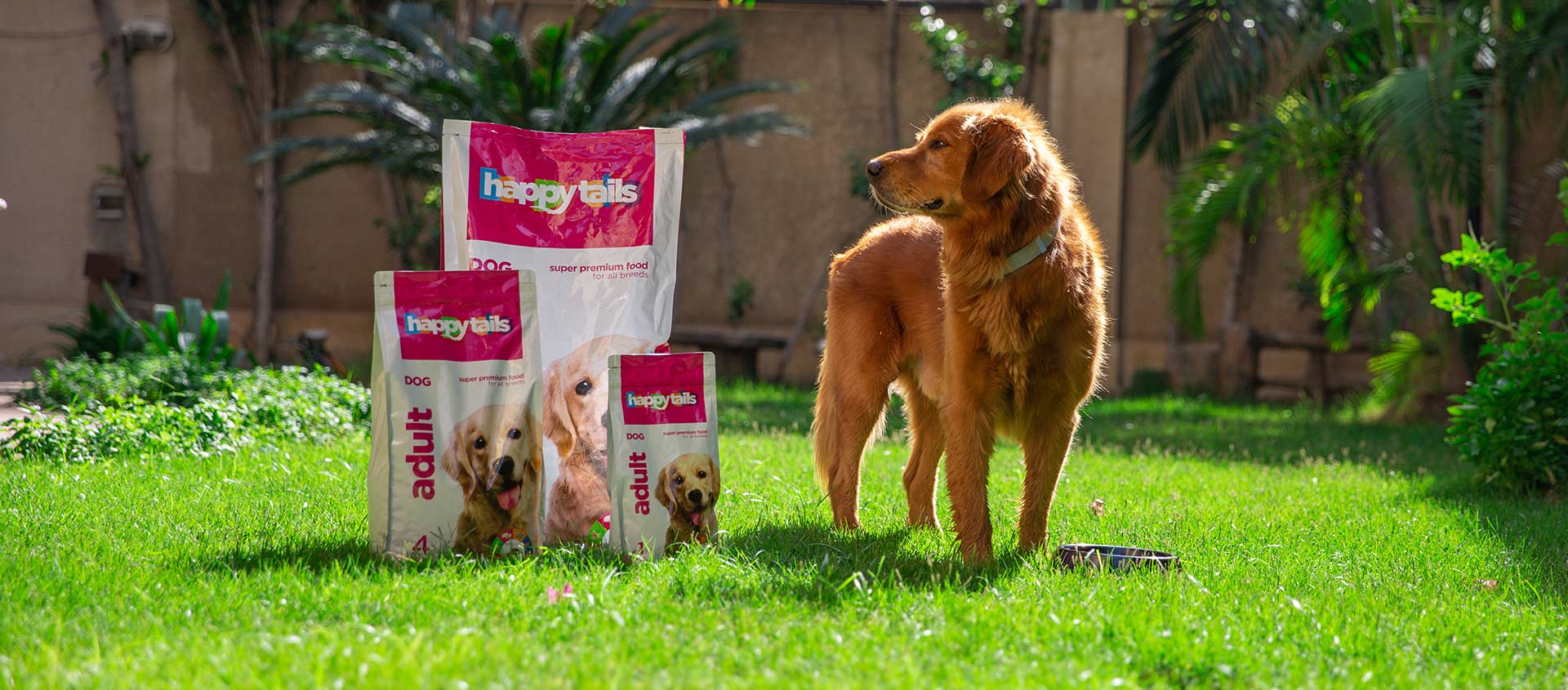 Home Dog Dry Food Egypt Delivers Pet Food Made In Egypt Healthy Nutritious Happy Tails